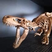 T-Rex